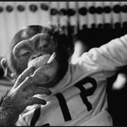 realFishchaser's profile picture. Florida man. husband, father, part time automotive riff raff. 1A, 2A veteran US Army 19K 🇺🇸 Fossil fuel extremist No DM’s 🚫💉