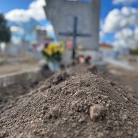 Alfons Brezel (@snitkomitlev) Twitter profile photo