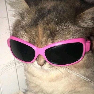 BLACKHIPPIE777's profile picture. 