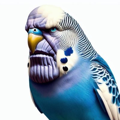 periquithanos's profile picture. 