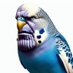 Periquithanos (@periquithanos) Twitter profile photo Periquithanos (@periquithanos) Twitter profile photo