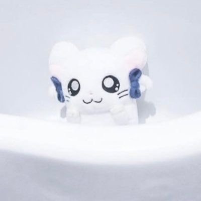 ay_fqy's profile picture. 自撮り界隈