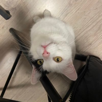 tablebasse91's profile picture. 