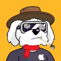 TSF 🤠 (@topshotfund) 's Twitter Profile Photo TSF 🤠 (@topshotfund) 's Twitter Profile Photo