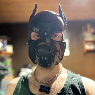 Pup Laval, Prince of Chaos 🏳️‍🌈🇨🇦🇺🇦🇵🇸さんのプロフィール画像