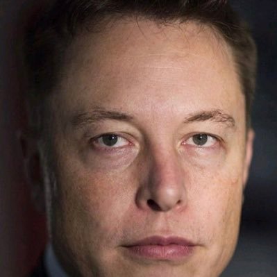 Founder; CEO & Chief Engineer of SpaceX