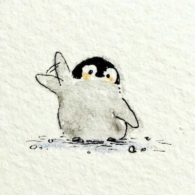 sadman908's profile picture. 