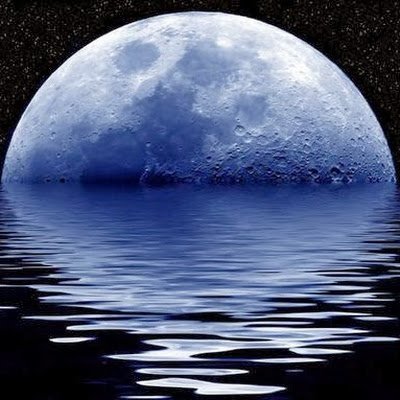 i_tesla41343's profile picture. 