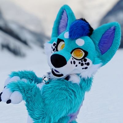 they/them | 🏳️🌈 | 25 | 🇨🇦 | ╶⃝⃤
big dumb blue dog that loves Skunks and pooltoys 🖤 @fikko_frutopia🖤