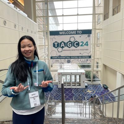 YingshanBi's profile picture. 