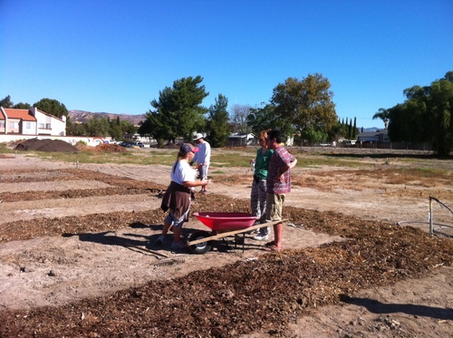 SimiGarden's profile picture. 