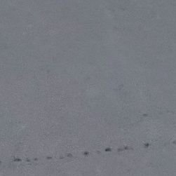 fe_rener's profile picture. 会釈