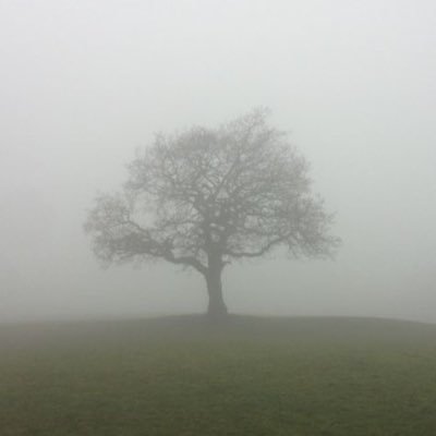 gokaren667's profile picture. there’s no middle ground