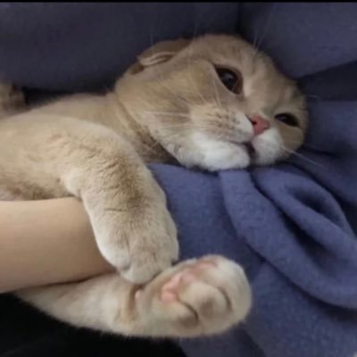 @chieneverchange