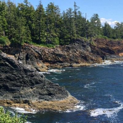 tradersubstack's profile picture. ... they're laughing at us....