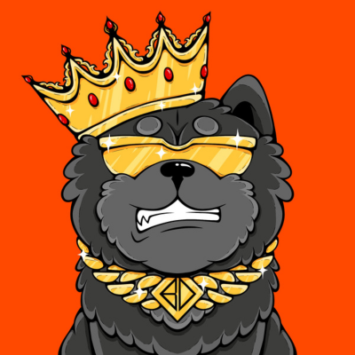 bitdogs_btc Profile Picture