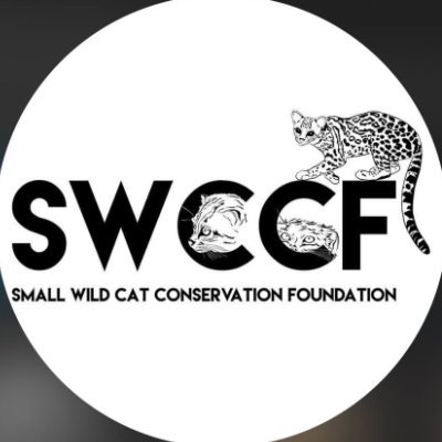 Small Wild Cat Conservation Foundation works with local partners to reduce threats to small wild cats and their natural habitats worldwide.