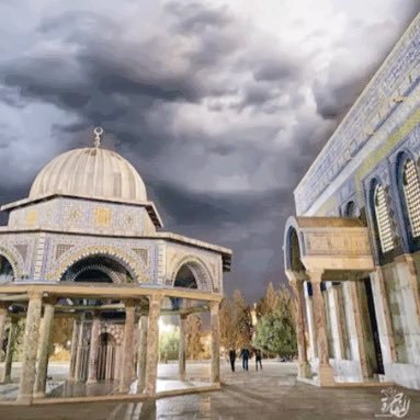 🇵🇸✌️🇵🇸. مهتم بالإقتصاد والاستثمار والتمويل الإسلامي