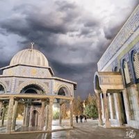 Abu Zaid Alandalusi (@abuzaid_pal) 's Twitter Profile