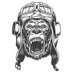 Congo Bush Pilot (@brendennei40283) Twitter profile photo Congo Bush Pilot (@brendennei40283) Twitter profile photo
