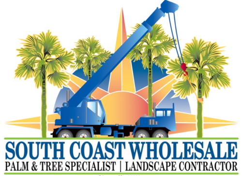 Wholesale Date Palms & Big Trees. Professional Advice & Installation. Nationwide Shipping. 1-888-326-PALM