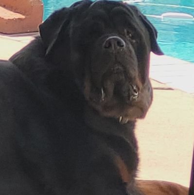 Muralha2024's profile picture. To Each Their Own. Live with No Ego.