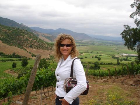 8869671's profile picture. Ingeniero Comercial, soñadora luchadora y perseverante. Transparente, romantica y agradecida de todo lo que tengo