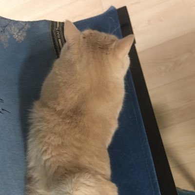 Funnymudpeex's profile picture. 