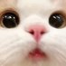 3400 (@3400rs) Twitter profile photo 3400 (@3400rs) Twitter profile photo
