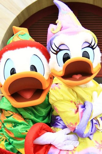 datatogo31's profile picture. 