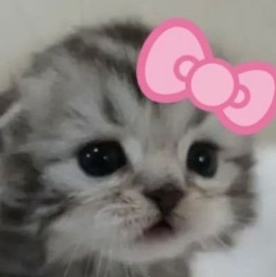 kittytinystuff's profile picture. psicologia e filosofia┊🧺🍓🩰🎀🌺