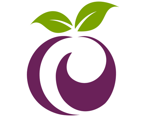 Plum Analytics