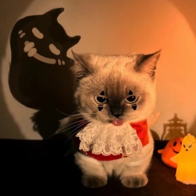 20 | @rrrrrrrrrronnie priv | itshydro. on discord 😼🍎