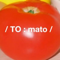 토마토🍅(@Yo_0_Gi) 's Twitter Profile Photo