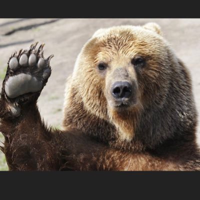 grizpappa's profile picture. 