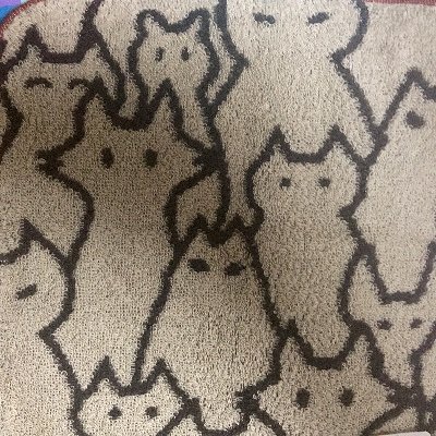 rahana_wanwan's profile picture. 高校2年生
新人緑コーダー
モチベの増減が激しい