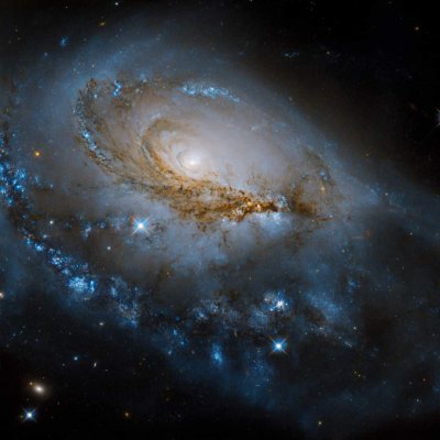 MRspaceoddity Profile