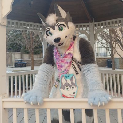 27 year old gooofball Hoosk that enjoys charity and going on adventures. FurTheWin suiter who loves making new friends! Straight, Single, Christian, INFJ.