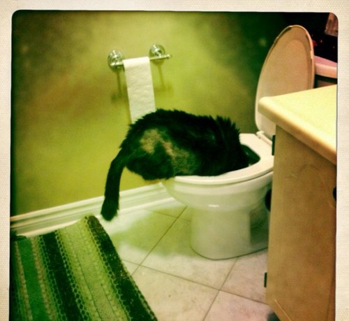 jtondino's profile picture. 