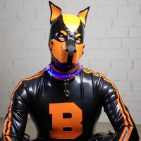 Boarhound (@dirtypuphh) 's Twitter Profile Photo