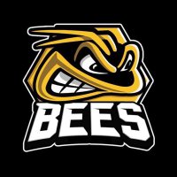 Bees Ice Hockey Club(@BeesIceHockey) 's Twitter Profile Photo