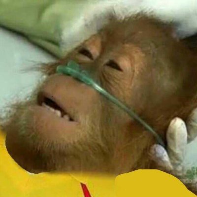 tetsuhydesol's profile picture. 