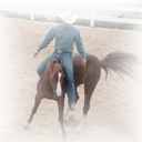 Frank Frontado - @freestylehorse - Twitter