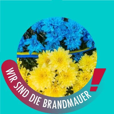 #AfDVerbotsofort #buntstattbraun
#StandWithUkraine🇺🇦
#IranRevolution2022
💚🌻💚 #WirAlleSindDeutschland 💚🌻💚
@ancalima.bsky.social