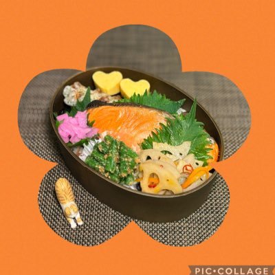 家族に作ってるご飯やお弁当です·͜·♡美味しいって言葉や顔が見たくて頑張って作ってます♪皆さんの美味しそうなお料理やお弁当を参考にさせてもらってます😌 数より仲良く楽しみたいのでフォロバは慎重です🙏🏻基本 土日祝はお休みです←気まぐれに現れる時アリ|⩊•` )コソッ