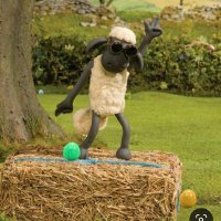 graucho (@groucho36725) 's Twitter Profile