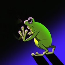 froggyalequi Profile Picture