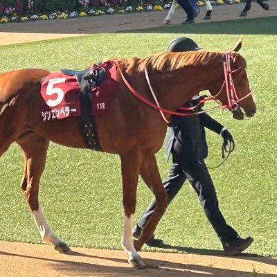 主に競馬、趣味アカウント　藤田晋オーナーの馬、通称F馬を中心に応援中