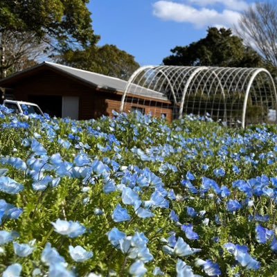 BIq3i's profile picture. 男/30↑ Twitter低稼働 石ころみたいな何処かのとある医師🧑‍⚕️ オンライン診察しません。雰囲気落ち着いてます。死体撃ち等苦手です