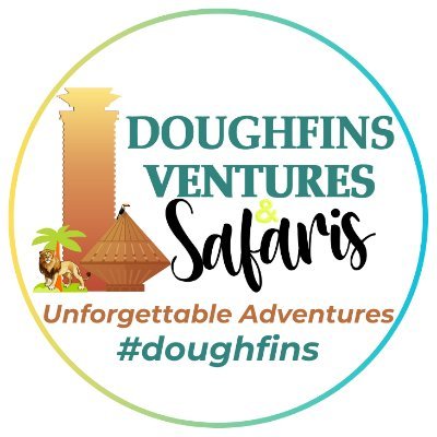 doughfins Profile Picture